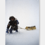 Poster - Reinhold Messner - 1989/1990 Antarktisdurchquerung